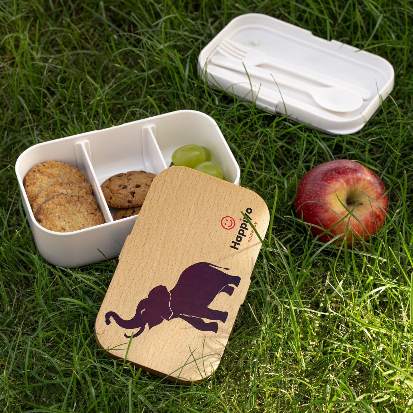 Bento Lunch Box