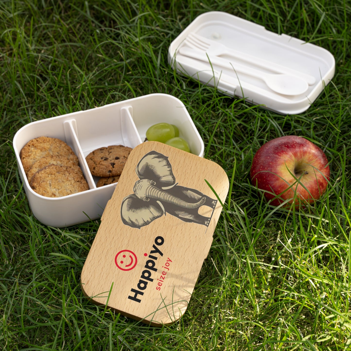 Bento Lunch Box