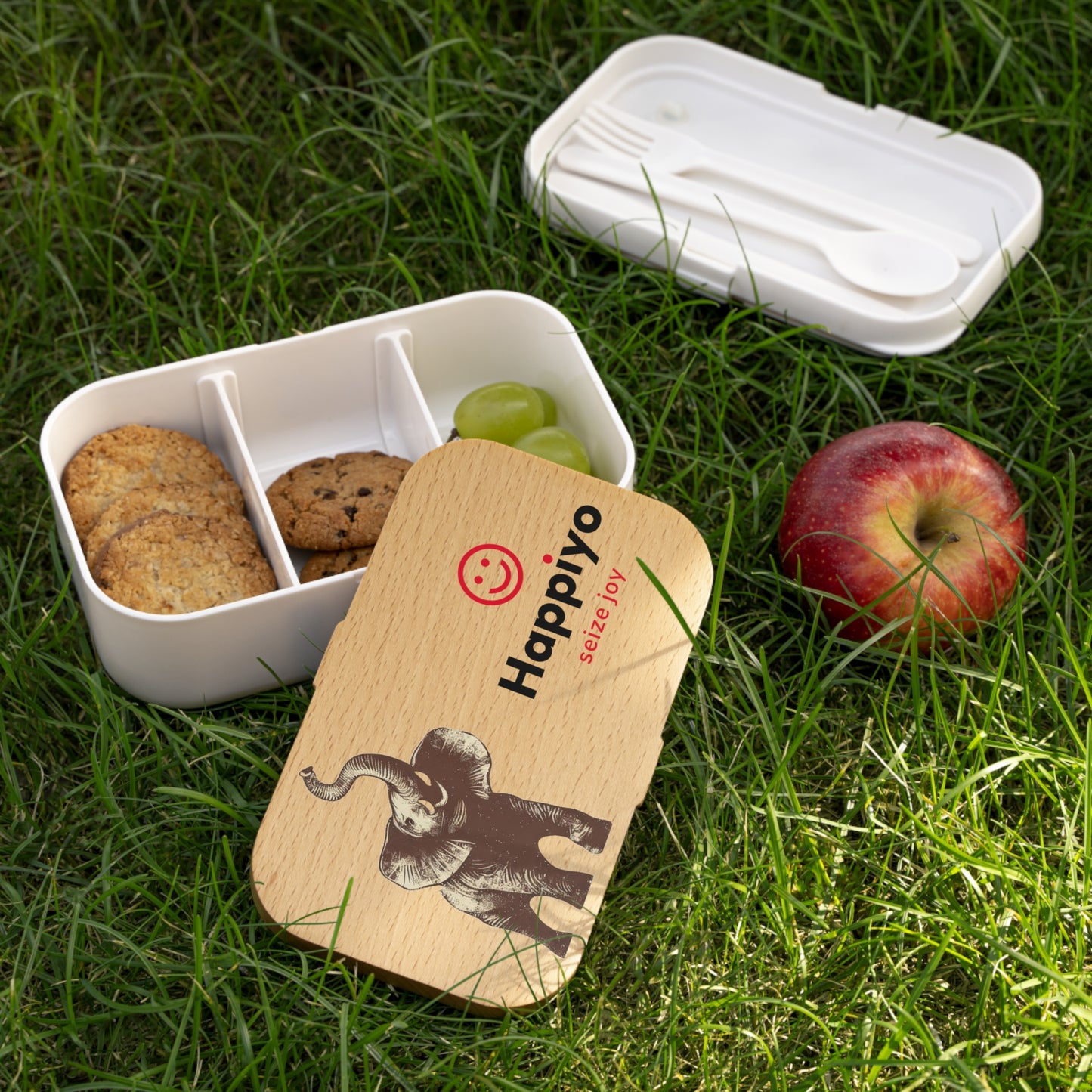 Bento Lunch Box